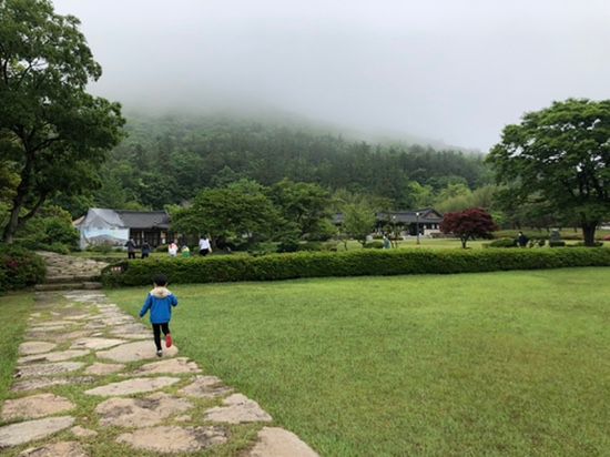 아이랑 진도 여행 코스 추천... 분위기 운치 가득한 곳 운림산방