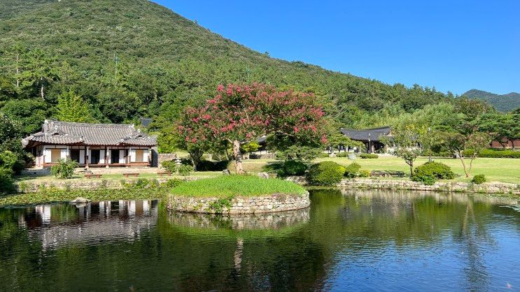 진도여행 가볼만한곳 / 운림산방 , 신비의 바닷길...