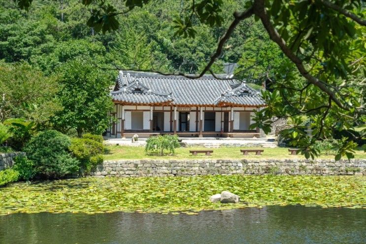 전라도 진도 여행 산책하기 좋은 곳 운림산방