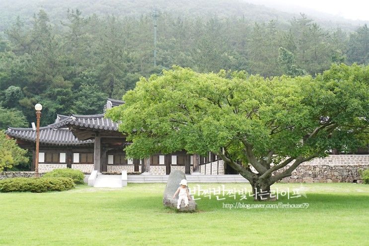 진도 가볼만한곳 운림산방 그리고 개테마파크