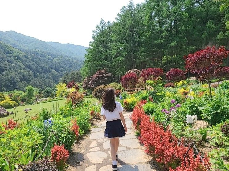 가평 가볼만한곳 아침고요수목원 아침고요동물원 카페 In...