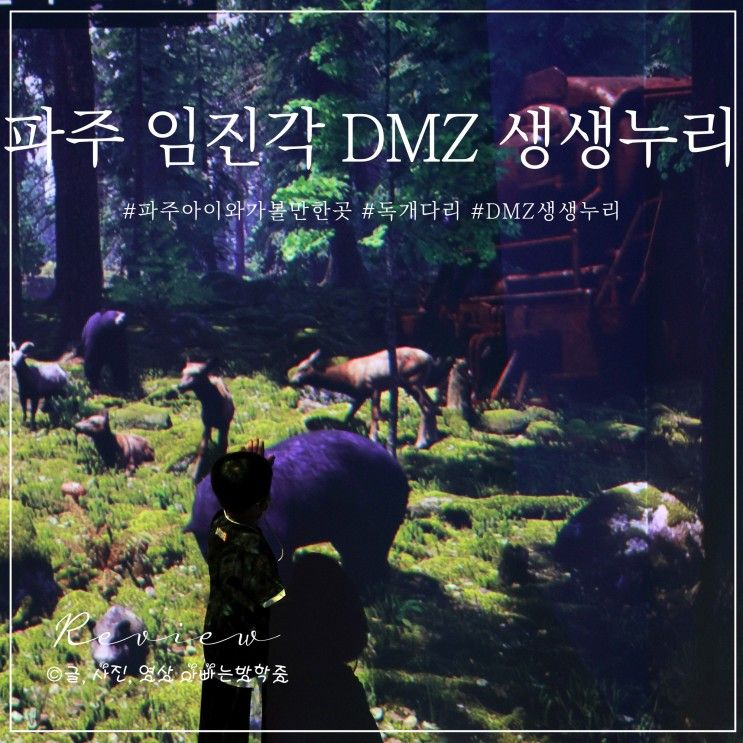 파주 아이와 가볼만한곳 임진각 DMZ 생생누리 독개다리