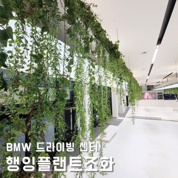 행잉플랜트조화, BMW 드라이빙센터 전시장 그린식물...