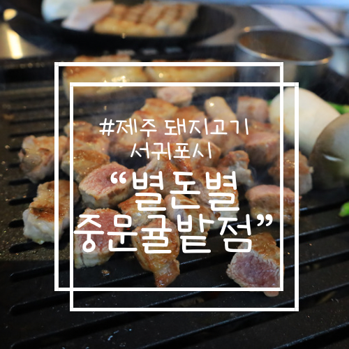 제주 서귀포 중문 맛집 "별돈별 중문귤밭점" feat. 인생 샷 가능