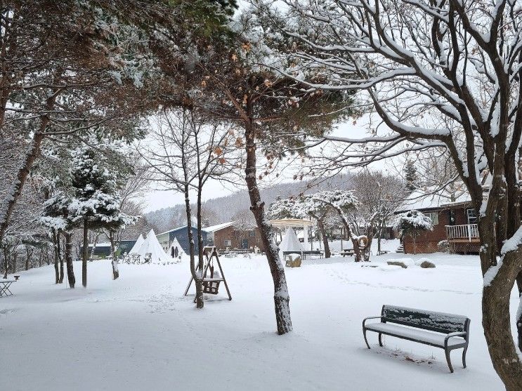 횡성 1765삽교 카페 설경과 둔내면 삽교리 운치