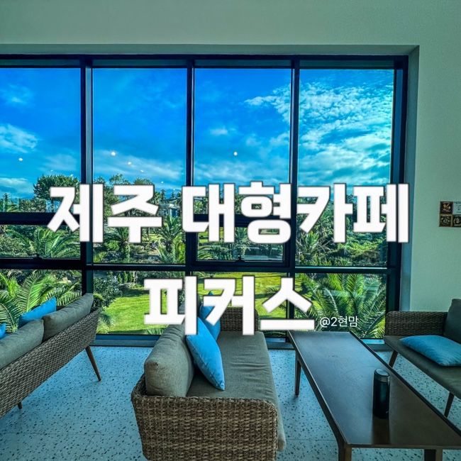 [제주 아라동 카페] 아이와 함께 피커스 제주 방문후기