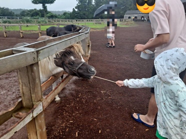 (조식)-국제리더스클럽(카약)-신흥해수욕장-명진전복...