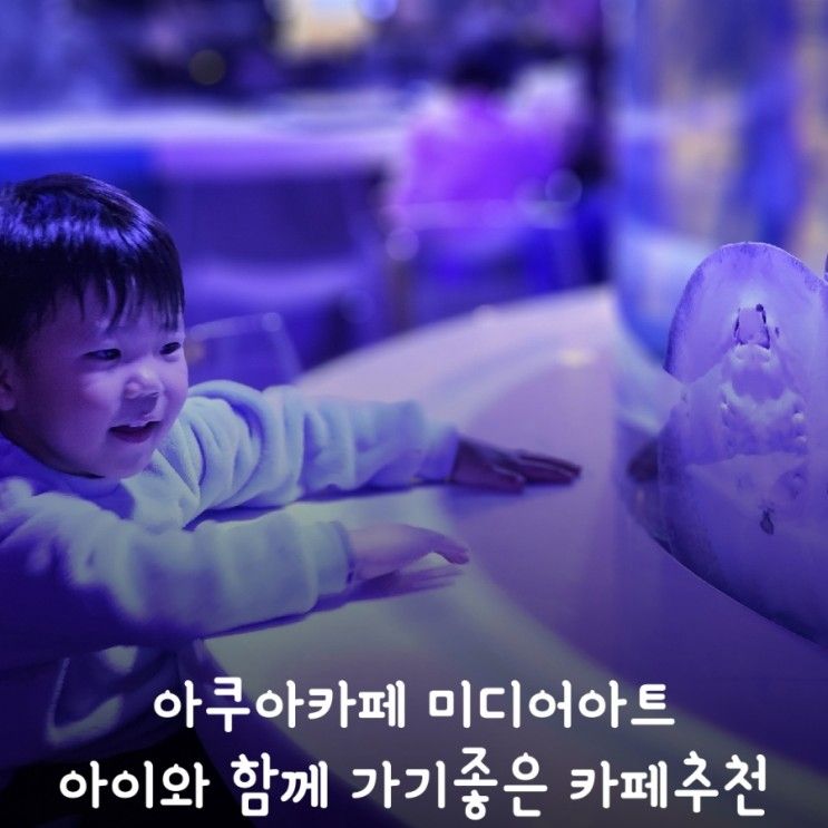 아쿠아카페 미디어아트 아이와 가기좋은 카페추천