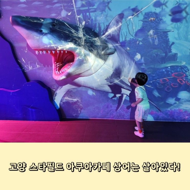 스타필드 실내놀이터 아이랑 가기좋은 아쿠아카페 미디어아트