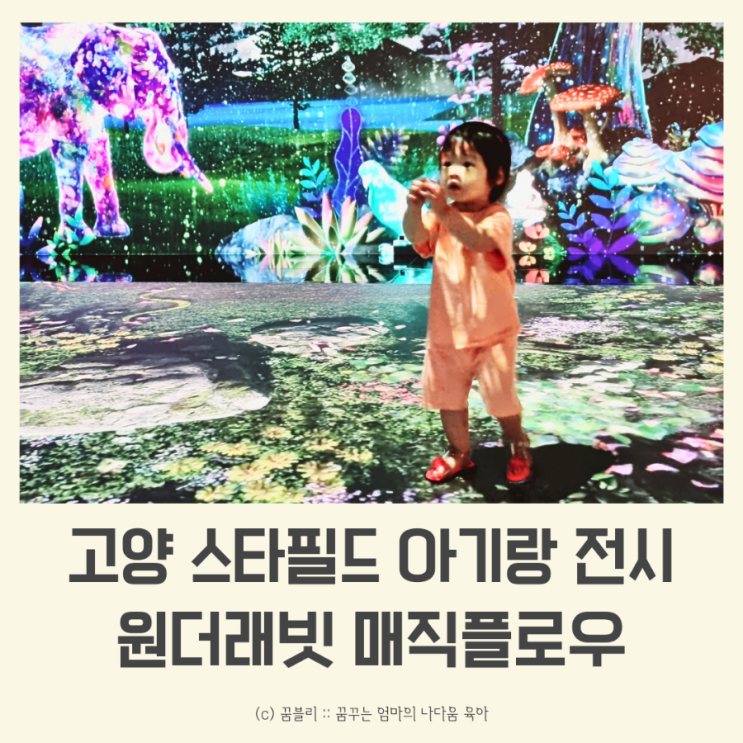 원더래빗 미디어아트전시 힐링하고 왔어요! + 아쿠아카페는...