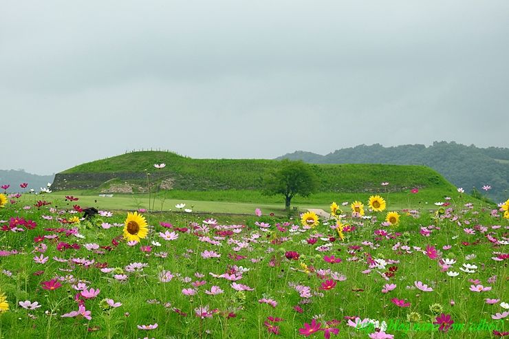 연천 호로고루