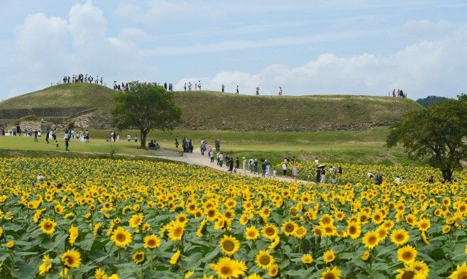 연천 장남 통일바라기축제, 가을정취를 느낄수 있는 호로고루성지