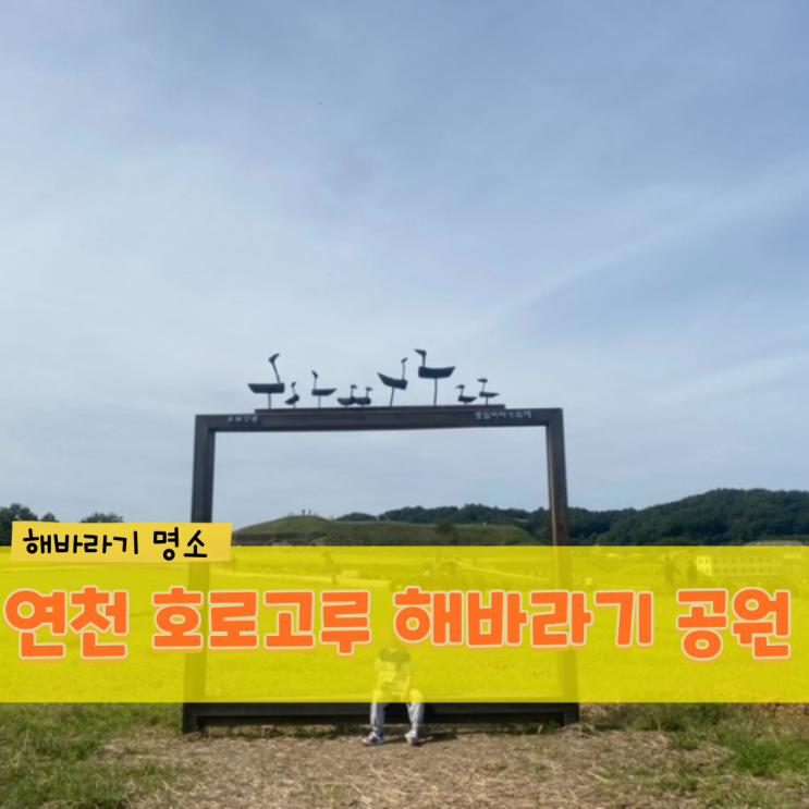 [연천 놀거리] 해바라기 축제, 연천 호로고루