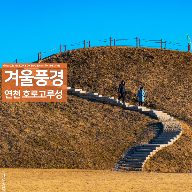 입문용 니콘 미러리스 카메라 추천 Z fc 연천 호로고루 겨울사진