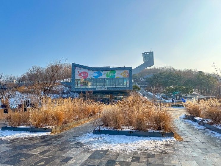 서울공원 추천 북서울꿈의숲 겨울나들이 강북 가볼만한곳