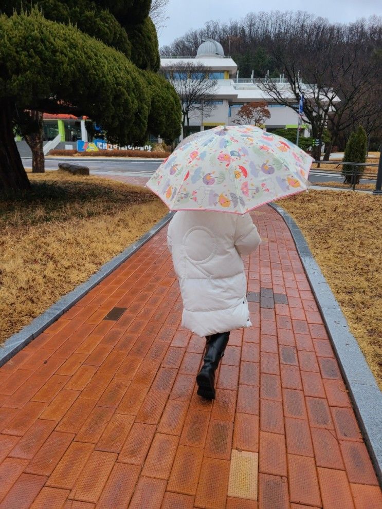 대구 어린이 세상.아이와 실내데이트 가볼만한 곳