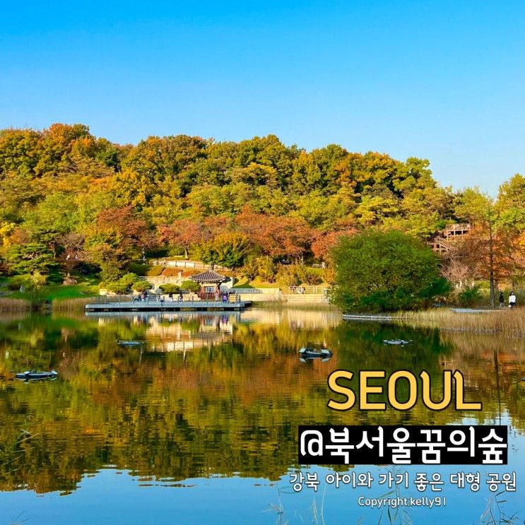서울 단풍놀이 여행 북서울꿈의숲 강북 가볼만한 대형 공원