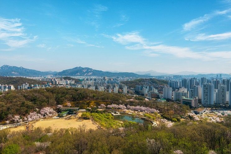 서울 벚꽃 명소 - 북서울꿈의숲 전망대 봄나들이 추천