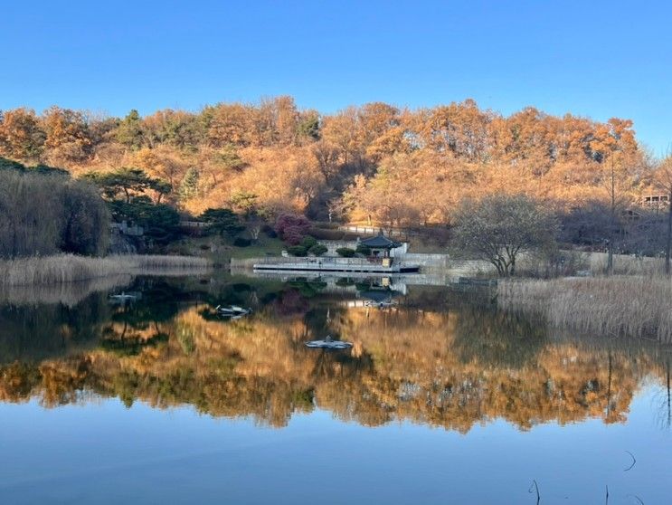 서울 북서울꿈의숲 전망대 주말 나들이