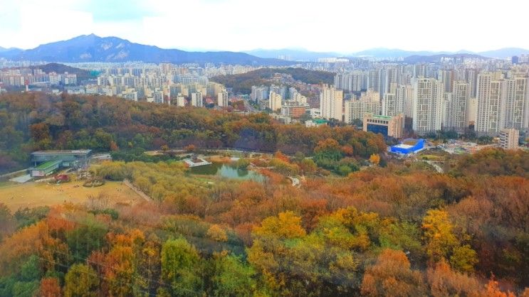 북서울 꿈의 숲 전망대 가을의 전경을 볼 수 있는 곳