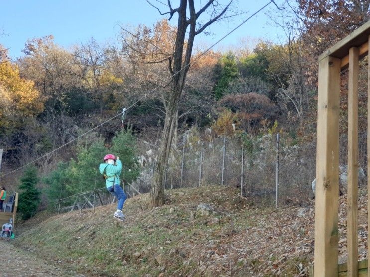 아이들과 가볼만한 창원 중동 사화공원 모험체험존