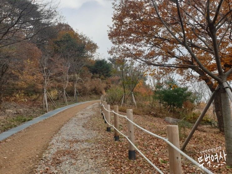 [창원] 중동 사화공원 : 강아지산책 / 모험체험존 / 물놀이장