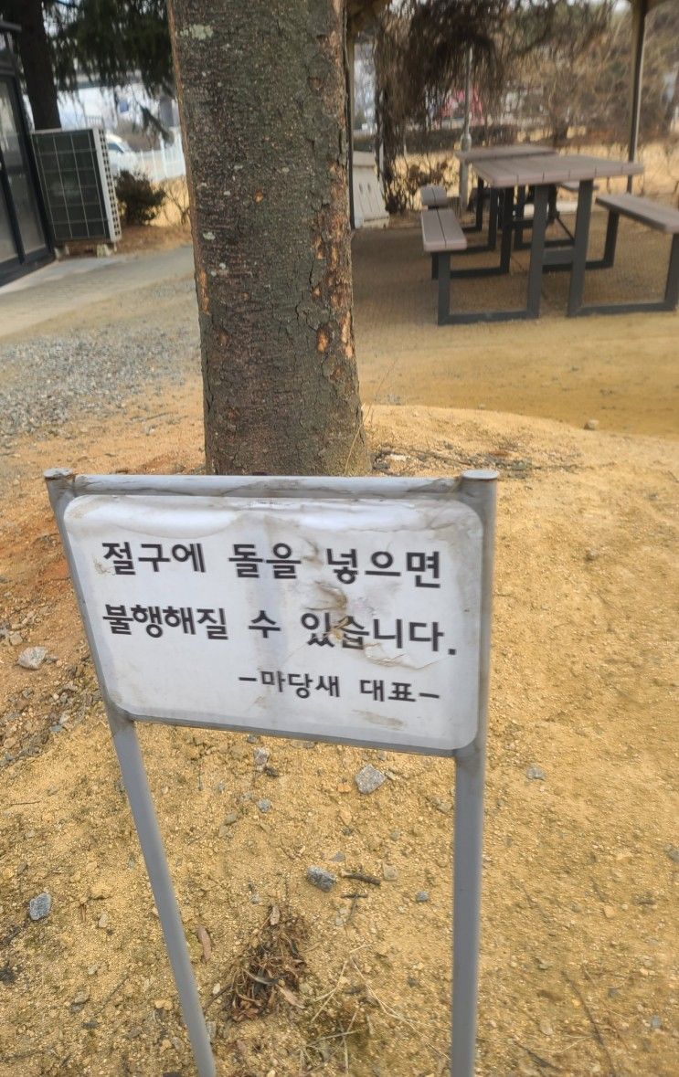인천 남동구 남촌동 <라노비아 자동차카페> 에서 기묘한 경험을...