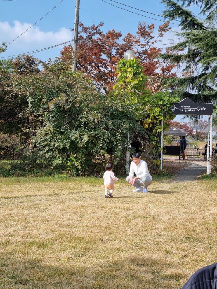 인천 남동구 카페: 잔디에서 놀기좋은 라노비아 자동차카페