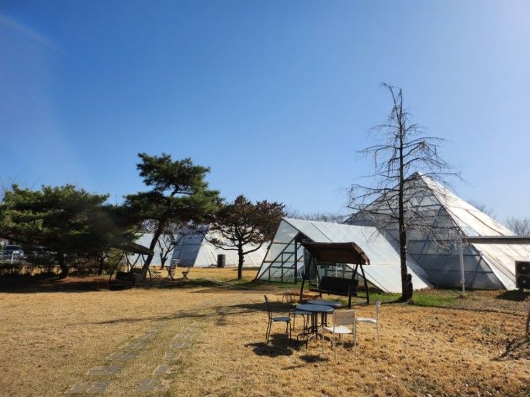 인천 남촌동 카페 뷰 맛집 남촌 저수지 라노비아 자동차 카페