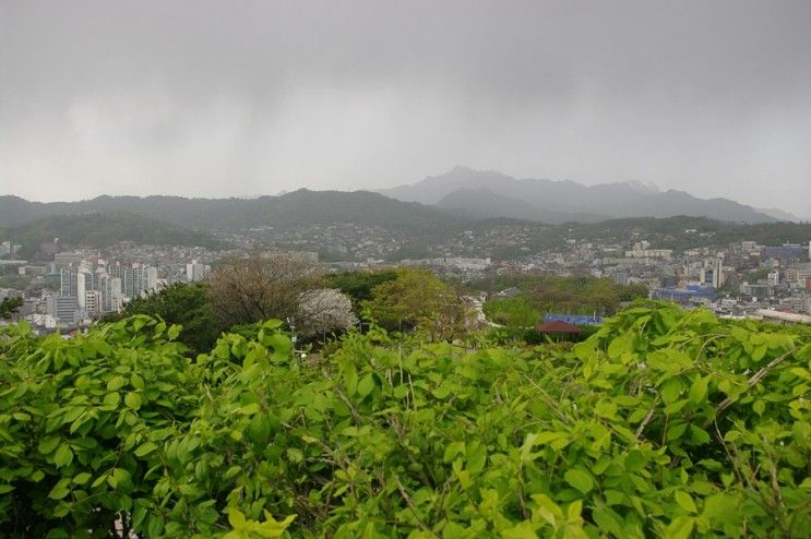 북악산~와룡공원~혜화문~낙산~아르코미술관을 돌아보다. - 4....