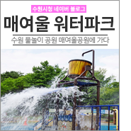 [수원/물놀이공원] 여름 더위 물렀거라! 매여울공원 물놀이...