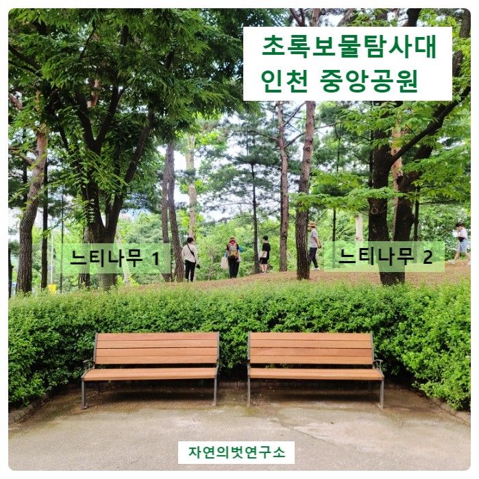[생태수업] 2023, 인천중앙공원 초록보물탐사대(3)...
