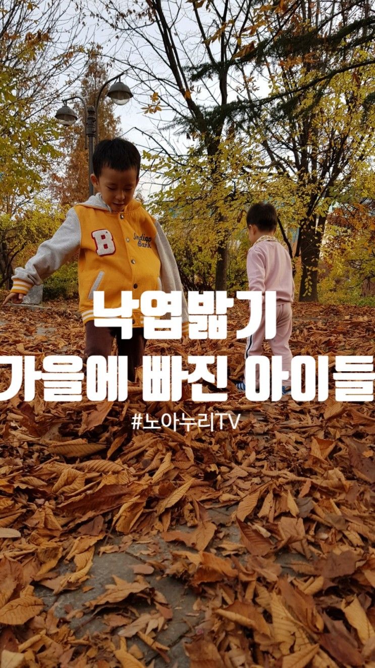 여행, 낙엽쓸기 낙엽에 빠진 아이들 - 인천중앙공원 2019.1123