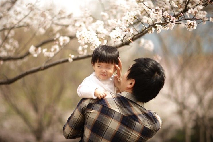 인천야외스냅, 벚꽃만발한 중앙공원에서 가족사진 남기기