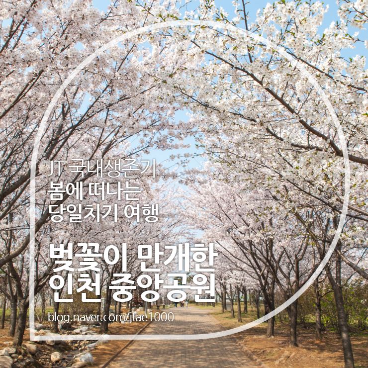 벚꽃이 만개한 우리동네 인천 중앙공원 by 니콘 D200