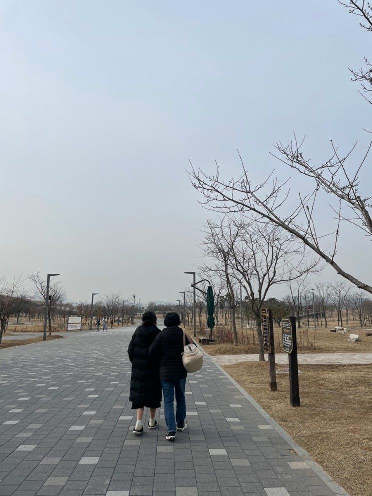 배곧 드라이브코스 강아지산책하기 좋은 배곧생명공원