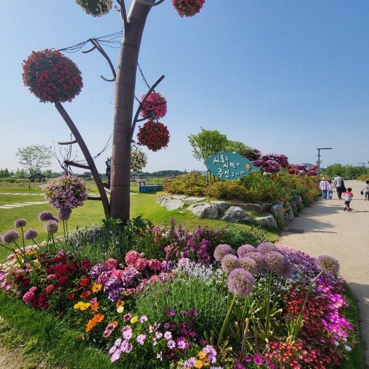서울 근교 시흥 배곧 가볼만한 곳 선사유적지와 갯골생태공원