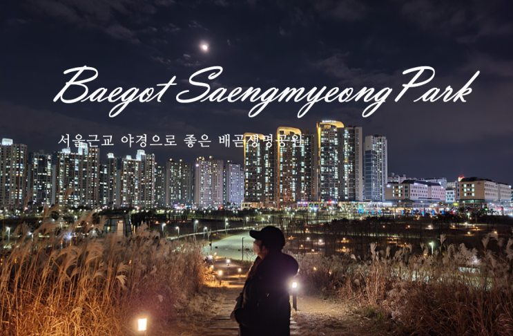 서울근교 야경 보기 너무 좋은 배곧생명공원 끝내준다!