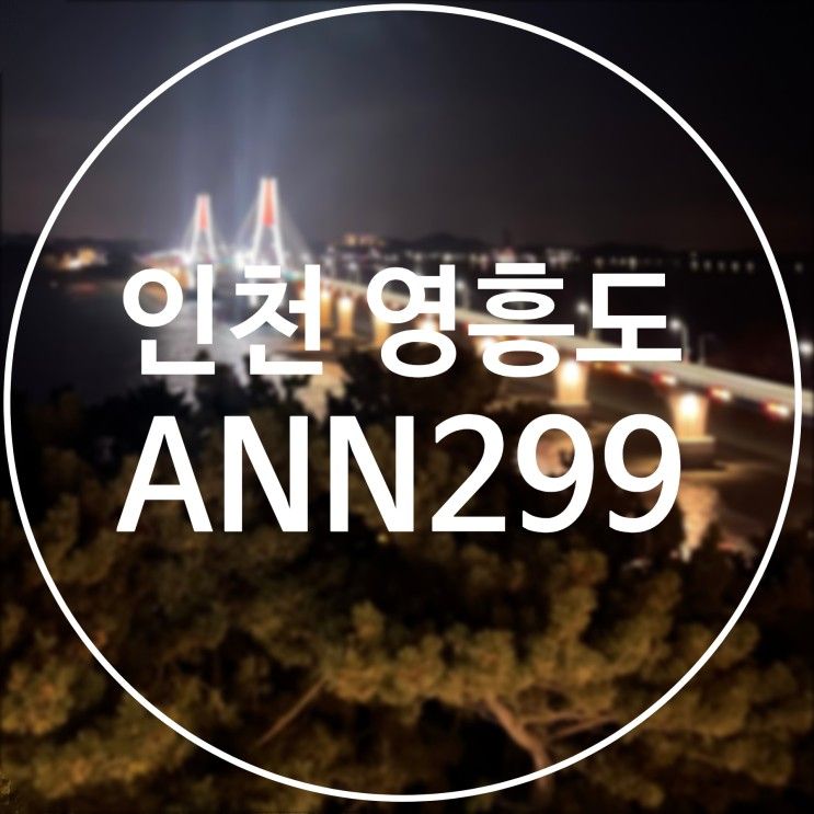 [인천 영흥도] ANN299 / 영흥도 사계절 온수풀 풀빌라 펜션