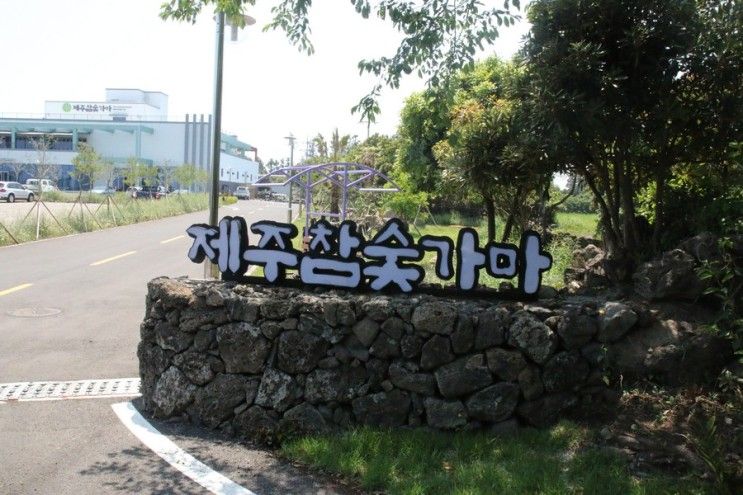 제주도 찜질방 추울때 가니깐 너무 좋아요