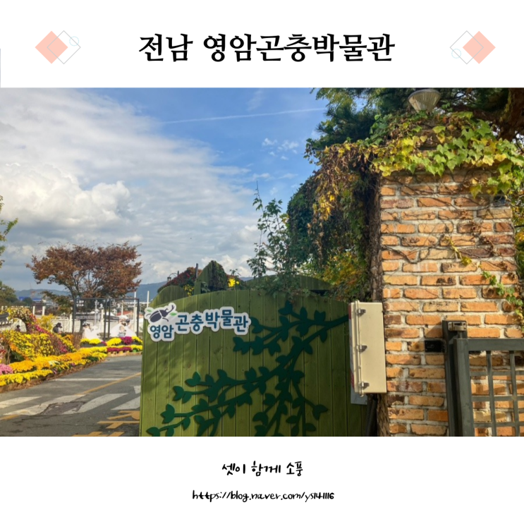 영암곤충박물관 전남 아이와 가볼만한곳