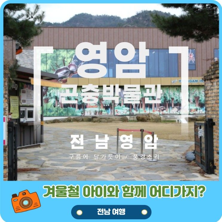 [영암] 방학 시즌 어린 자녀와 함께 가볼 만한 곳, 영암곤충박물관