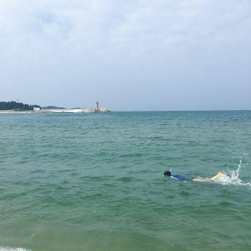 :: 강원도 고성 캠핑 :: 봉수대 오토 캠핑장 / 고성 커피고/ 원주...