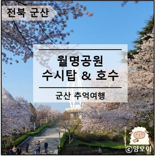 군산 월명공원 수시탑 벚꽃 명소 호수 둘레길 방문 후기