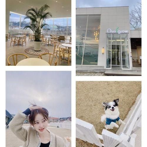 김제 오버그로우 , 애견카페 1000평 대형카페 다녀왔어요