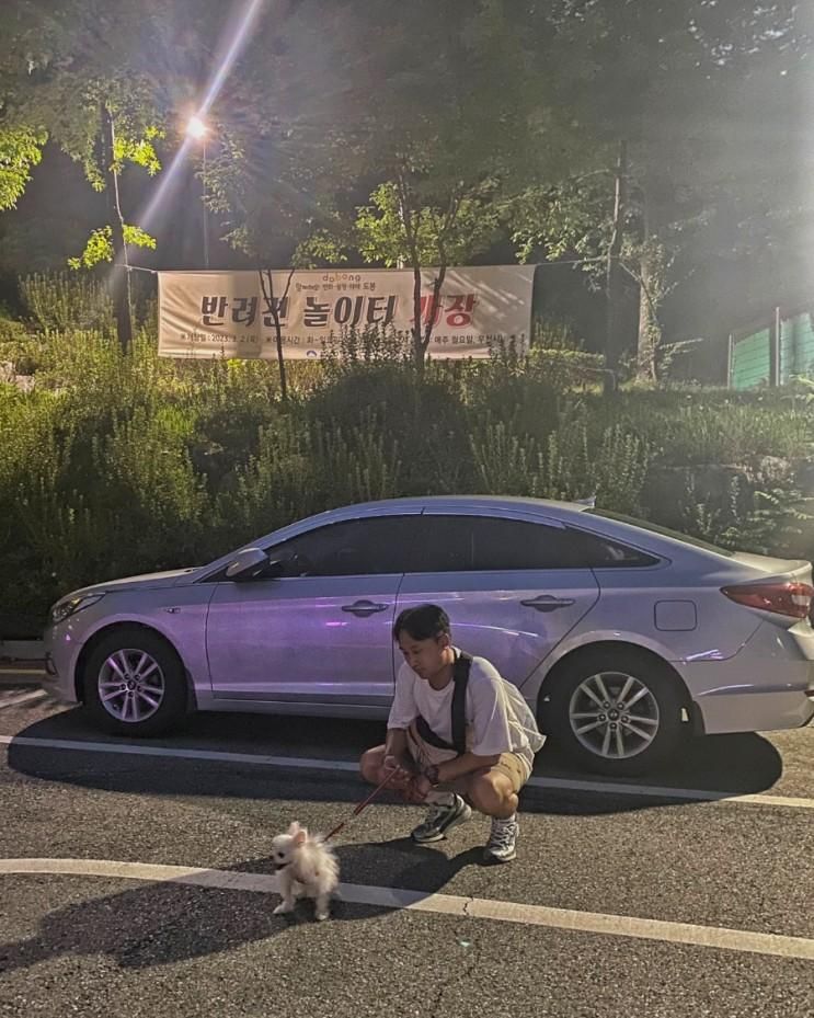 [도봉] 강아지 산책 코스 초안산 근린공원 반려견 놀이터 (이용...