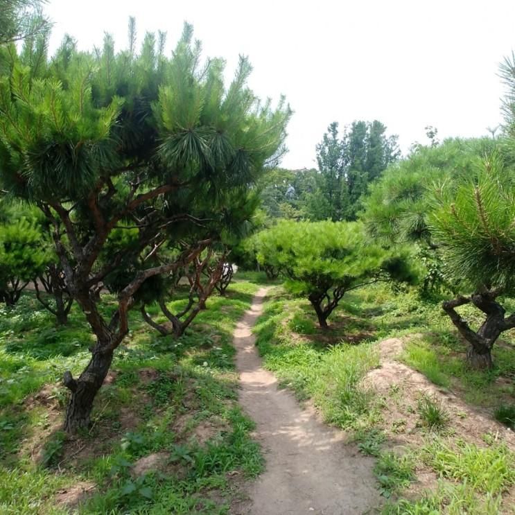 190701 초안산근린공원 갔었다.