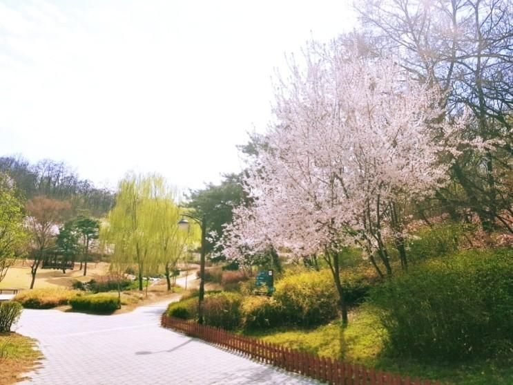 [산책]초안산도봉둘레길 초안산근린공원 봄맞이 공원산책 어때요?