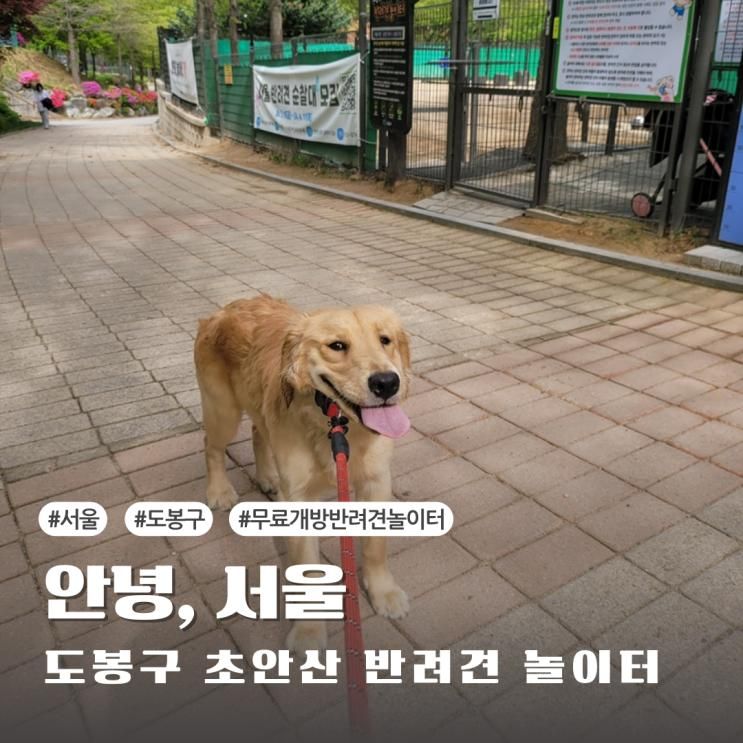 도봉구 무료 입장 가능한 반려견 놀이터 [초안산 공공 반려견...