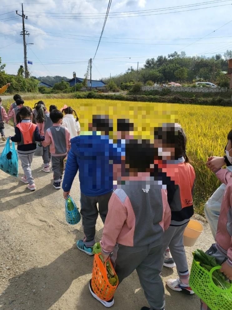 구미 가볼만한 곳 농촌 이색 수확체험 연의하루